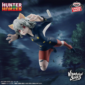 Figura Neferpitou Hunter X Hunter Vibration Stars